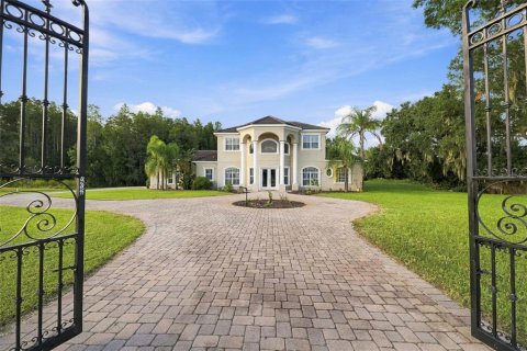 Villa ou maison à vendre à Lutz, Floride: 5 chambres, 328.22 m2 № 2411452 - photo 2