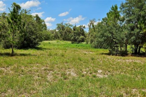 Terreno en venta en Lake Wales, Florida № 1765428 - foto 3