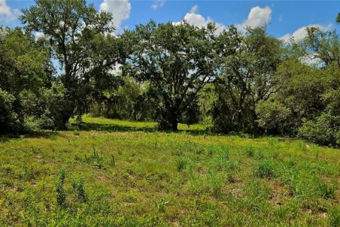 Terreno en venta en Lake Wales, Florida № 1765428 - foto 4