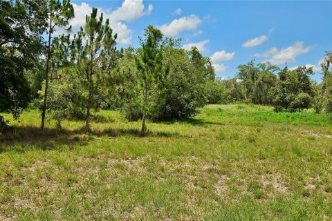 Terreno en venta en Lake Wales, Florida № 1765428 - foto 2