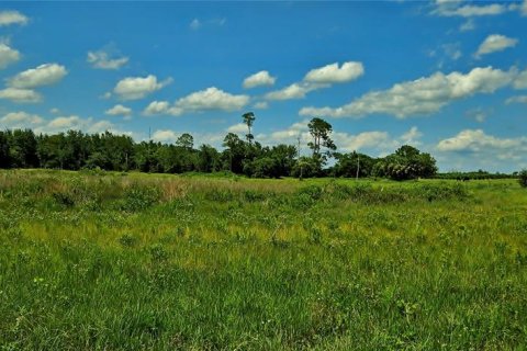 Terreno en venta en Lake Wales, Florida № 1765428 - foto 6