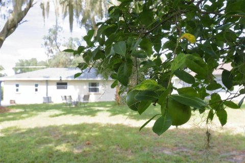 Villa ou maison à vendre à DeLand, Floride: 3 chambres, 128.11 m2 № 2408563 - photo 30