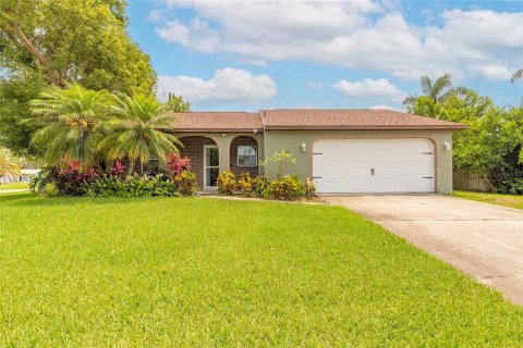 Villa ou maison à vendre à Port Orange, Floride: 3 chambres, 111.48 m2 № 1765868 - photo 1