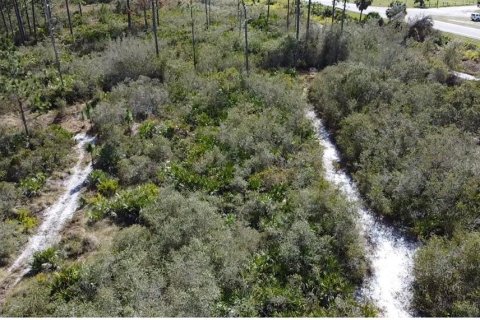 Terreno en venta en Okeechobee, Florida № 1544562 - foto 3