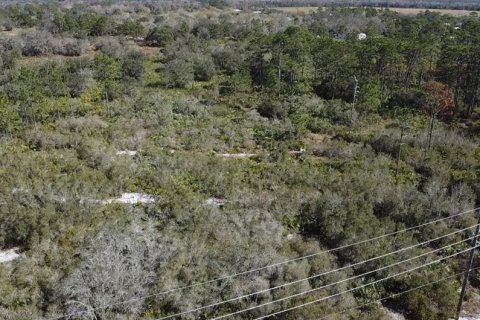 Terreno en venta en Okeechobee, Florida № 1544562 - foto 2