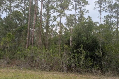 Land in Indian lake estates, Florida № 2159826 - photo 3
