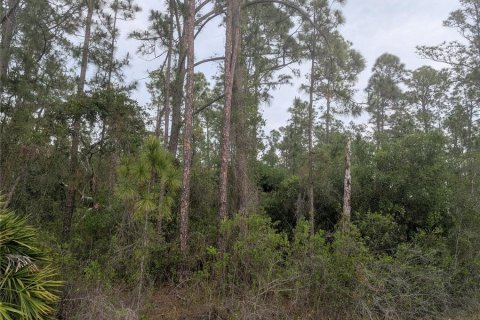 Land in Indian lake estates, Florida № 2159826