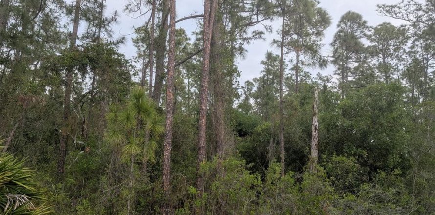 Land in Indian lake estates, Florida № 2159826