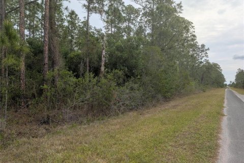 Land in Indian lake estates, Florida № 2159826 - photo 2
