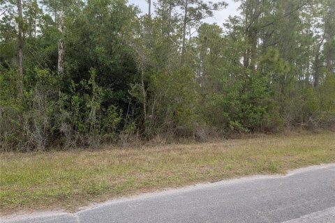 Land in Indian lake estates, Florida № 2159826 - photo 4