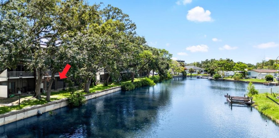 Condo in Tampa, Florida, 1 bedroom  № 1829368