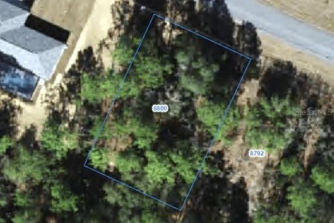 Land in Citrus Springs, Florida № 2388274