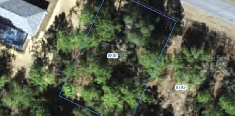 Land in Citrus Springs, Florida № 2388274