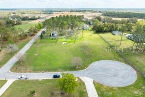 Land in Dade City, Florida № 1787626 - photo 17