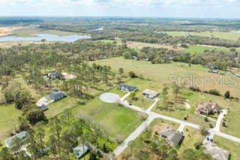 Land in Dade City, Florida № 1787626 - photo 7