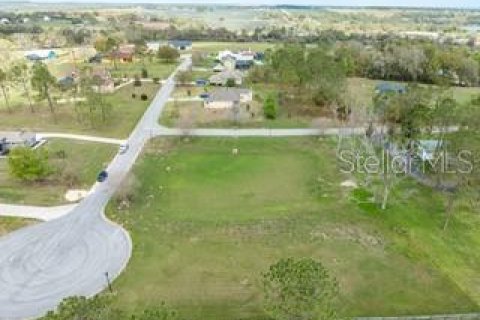 Land in Dade City, Florida № 1787626 - photo 18