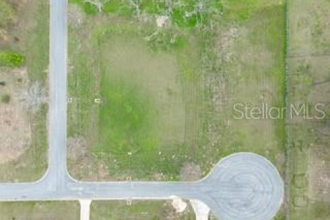 Land in Dade City, Florida № 1787626 - photo 13