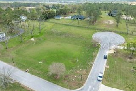 Land in Dade City, Florida № 1787626 - photo 12