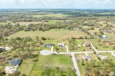 Land in Dade City, Florida № 1787626 - photo 6