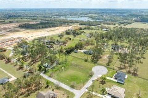 Land in Dade City, Florida № 1787626 - photo 2