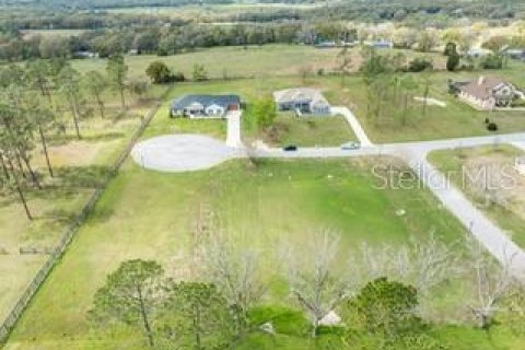 Land in Dade City, Florida № 1787626 - photo 15