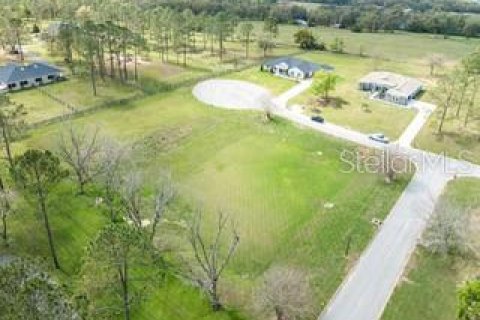 Land in Dade City, Florida № 1787626 - photo 14