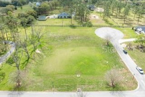 Land in Dade City, Florida № 1787626 - photo 11