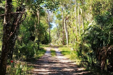 Land in Crystal River, Florida № 2196086