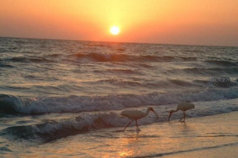 Condo in Placida, Florida, 2 bedrooms  № 251548 - photo 14