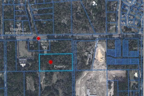 Land in Gainesville, Florida № 1723998 - photo 3