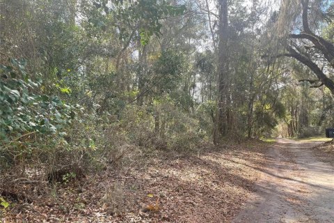 Land in Gainesville, Florida № 1723998 - photo 7