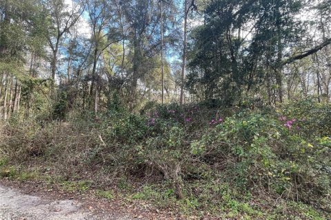Land in Gainesville, Florida № 1723998 - photo 4