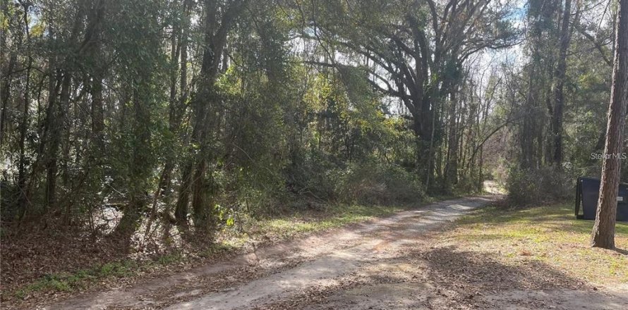 Land in Gainesville, Florida № 1723998