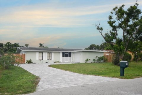 House in Cape Coral, Florida 3 bedrooms № 1965016 - photo 1