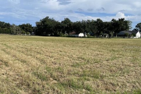 Land in Plant City, Florida № 2384005 - photo 3