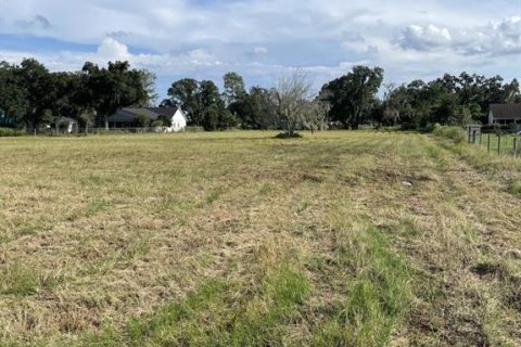 Land in Plant City, Florida № 2384005 - photo 2