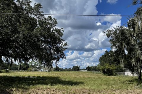 Land in Plant City, Florida № 2384005