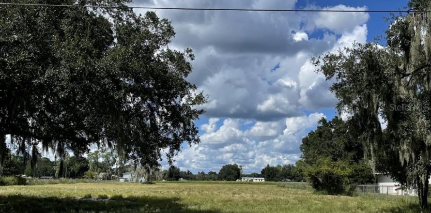 Land in Plant City, Florida № 2384005