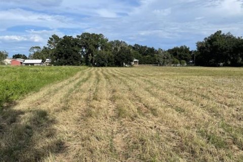 Land in Plant City, Florida № 2384005 - photo 4