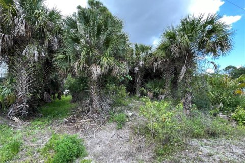 Land in Punta Gorda, Florida № 2195511 - photo 5