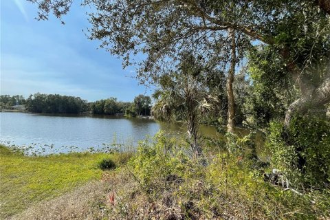 Terreno en Punta Gorda, Florida № 2195511