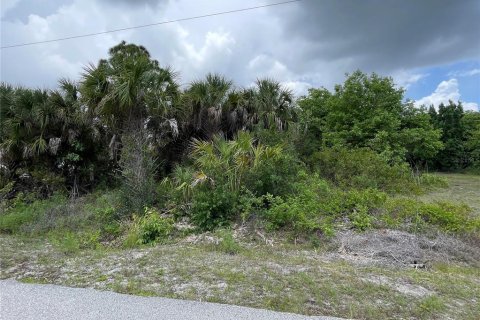 Land in Punta Gorda, Florida № 2195511 - photo 4