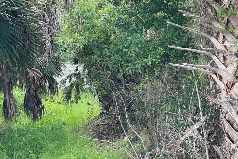 Land in Punta Gorda, Florida № 2195511 - photo 3