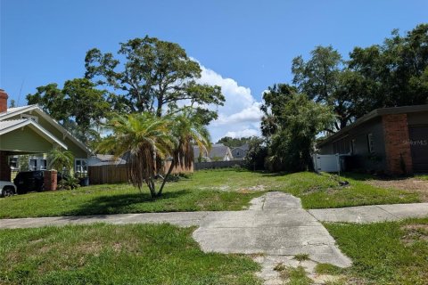 Terrain à Tampa, Floride № 2103617