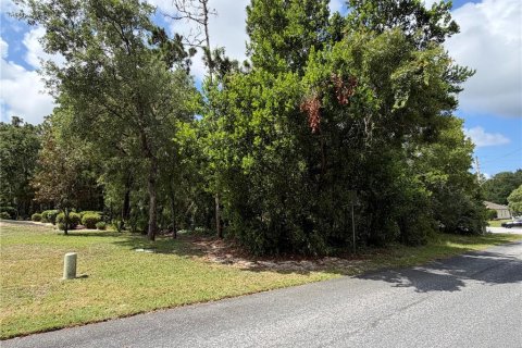 Terreno en venta en Homosassa, Florida № 2201148 - foto 4