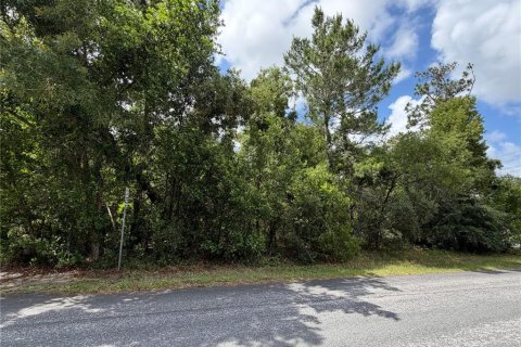 Terreno en venta en Homosassa, Florida № 2201148 - foto 5
