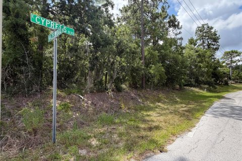 Terreno en venta en Homosassa, Florida № 2201148 - foto 6