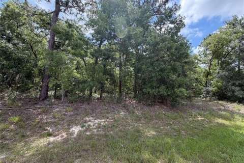 Terreno en venta en Homosassa, Florida № 2201148 - foto 7