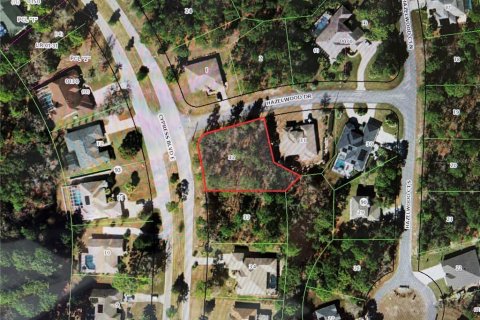Terreno en venta en Homosassa, Florida № 2201148 - foto 2