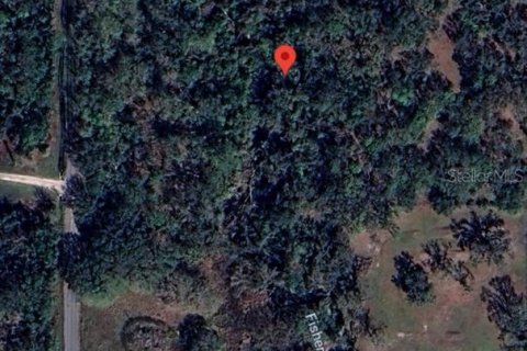 Land in Myakka City, Florida № 2097292 - photo 2